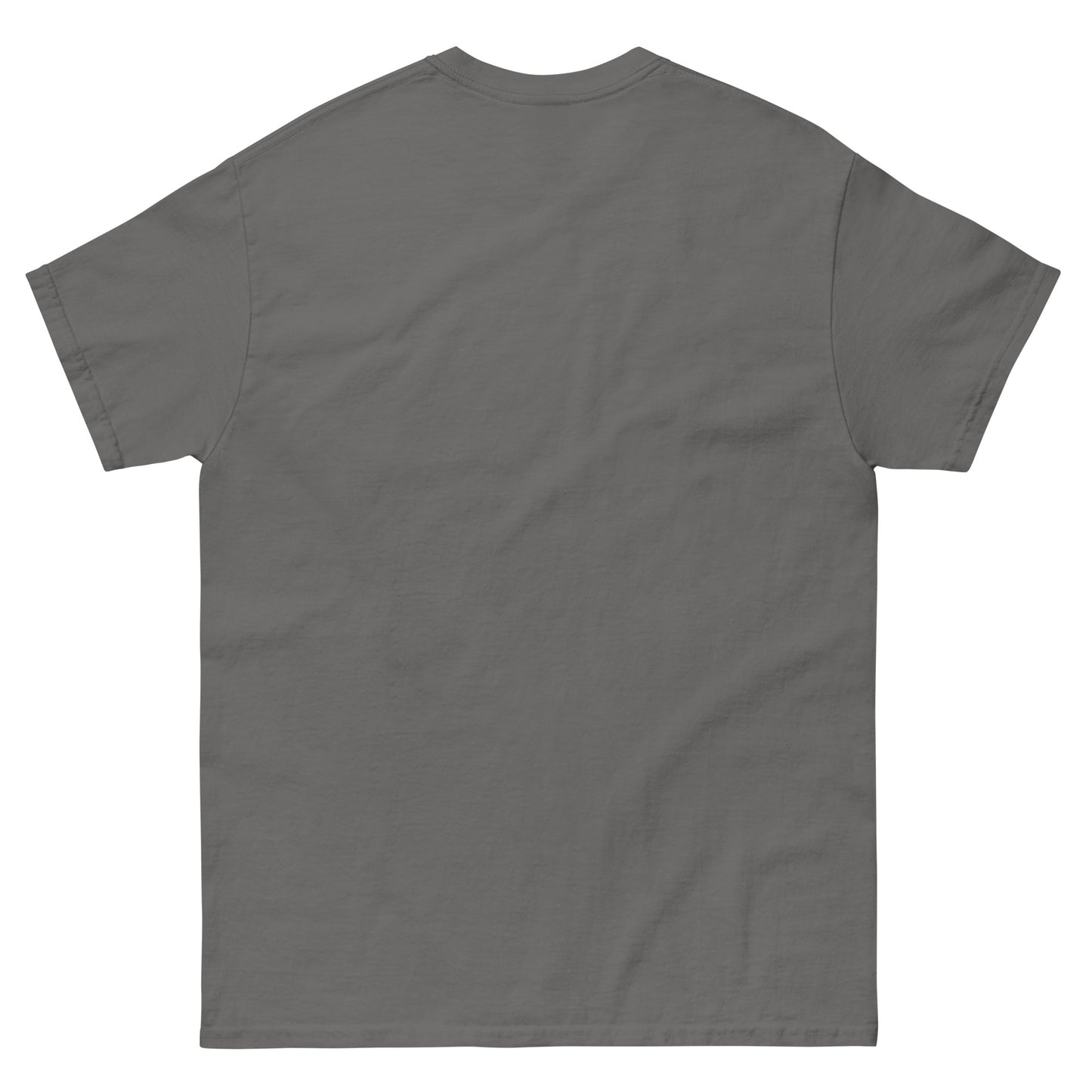 unisex-classic-tee-charcoal-back-69b88c15e5c51 - Dreamy Phoenix