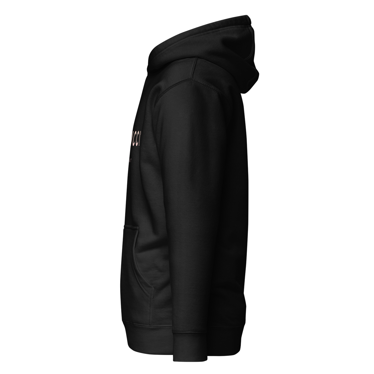 cotton-heritage-m2580-i-unisex-premium-pullover-hoodie-black-left-69b6eaa738c4f - Dreamy Phoenix