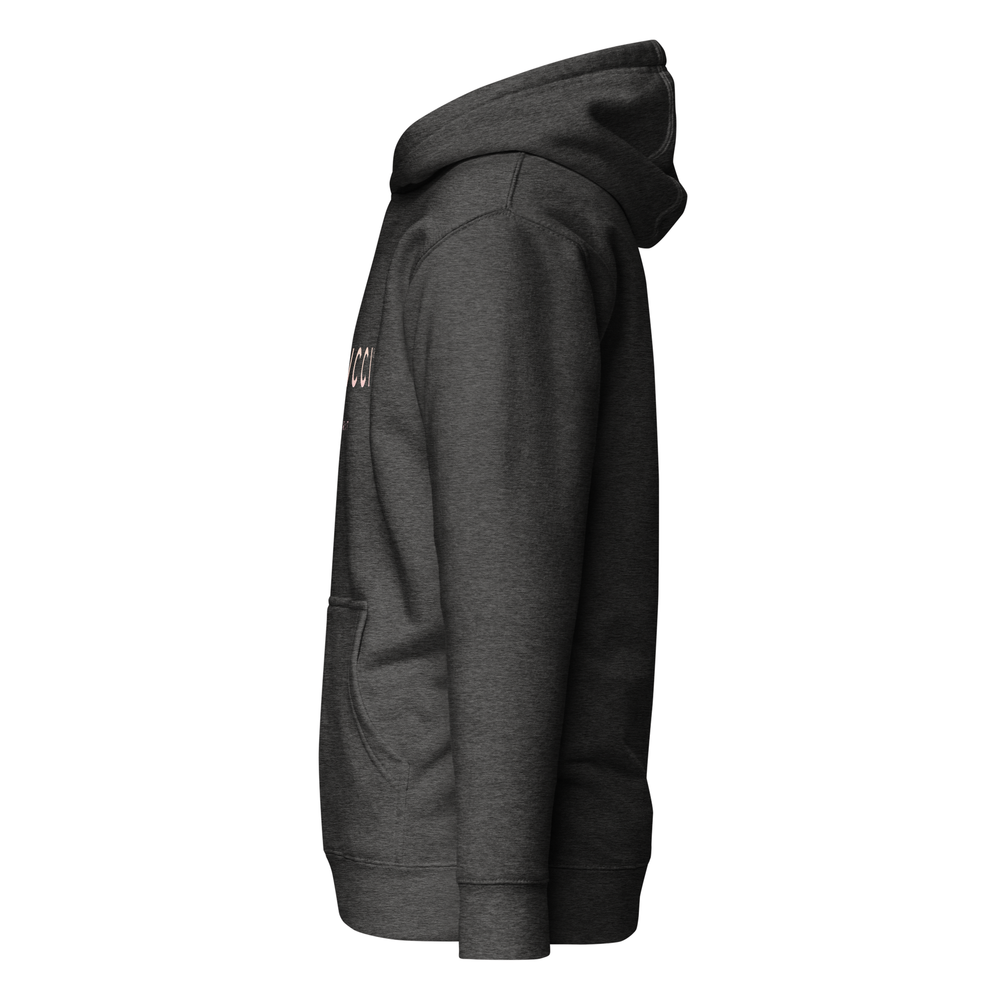 cotton-heritage-m2580-i-unisex-premium-pullover-hoodie-charcoal-heather-left-69b6eaa738dba - Dreamy Phoenix