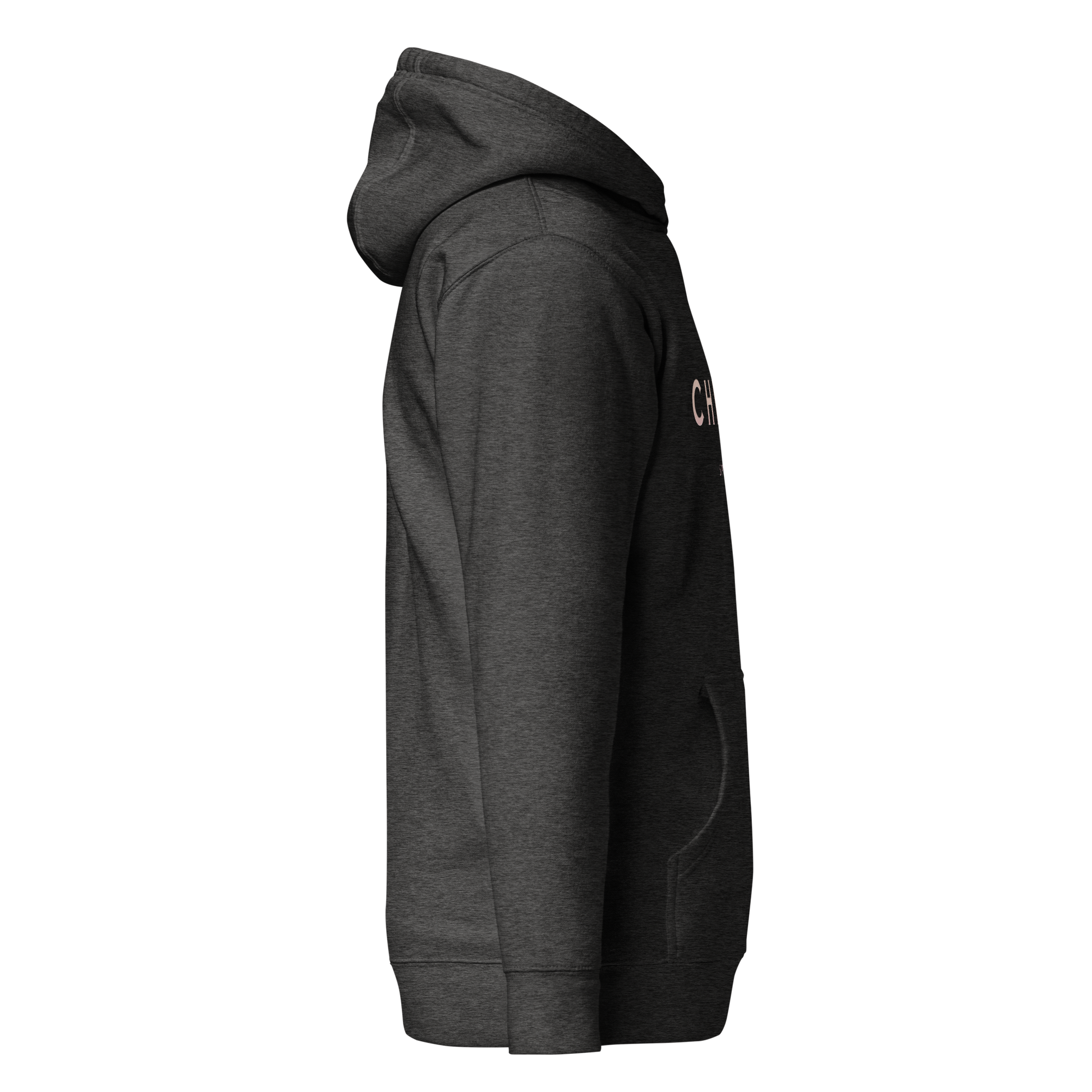 cotton-heritage-m2580-i-unisex-premium-pullover-hoodie-charcoal-heather-right-69b6eaa73a349 - Dreamy Phoenix