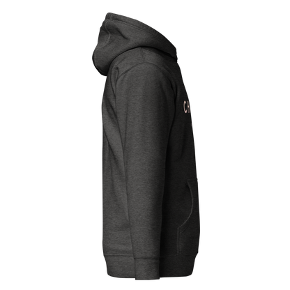 cotton-heritage-m2580-i-unisex-premium-pullover-hoodie-charcoal-heather-right-69b6eaa73a349 - Dreamy Phoenix