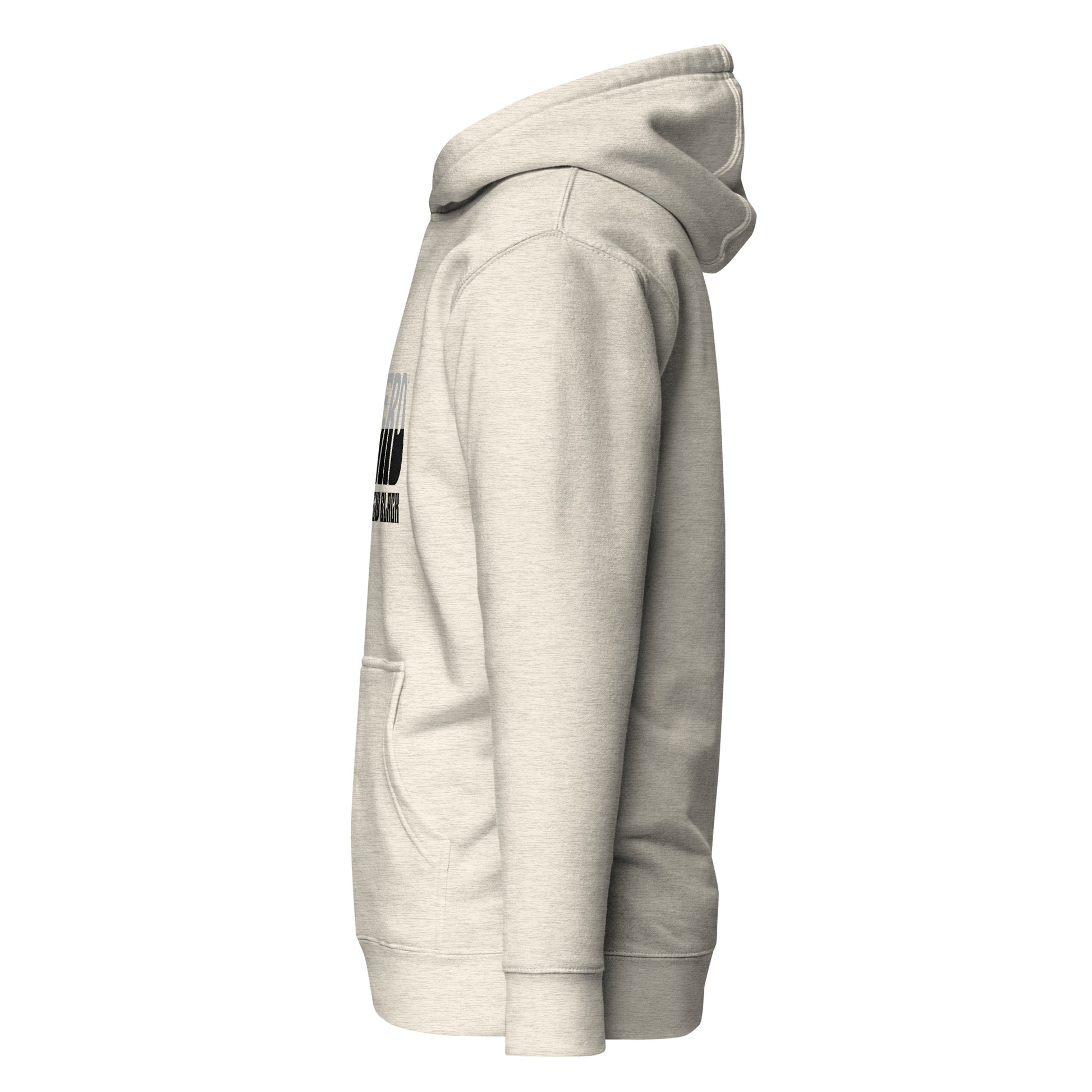 cotton-heritage-m2580-i-unisex-premium-pullover-hoodie-oatmeal-heather-left-69b6ba5250445 - Dreamy Phoenix