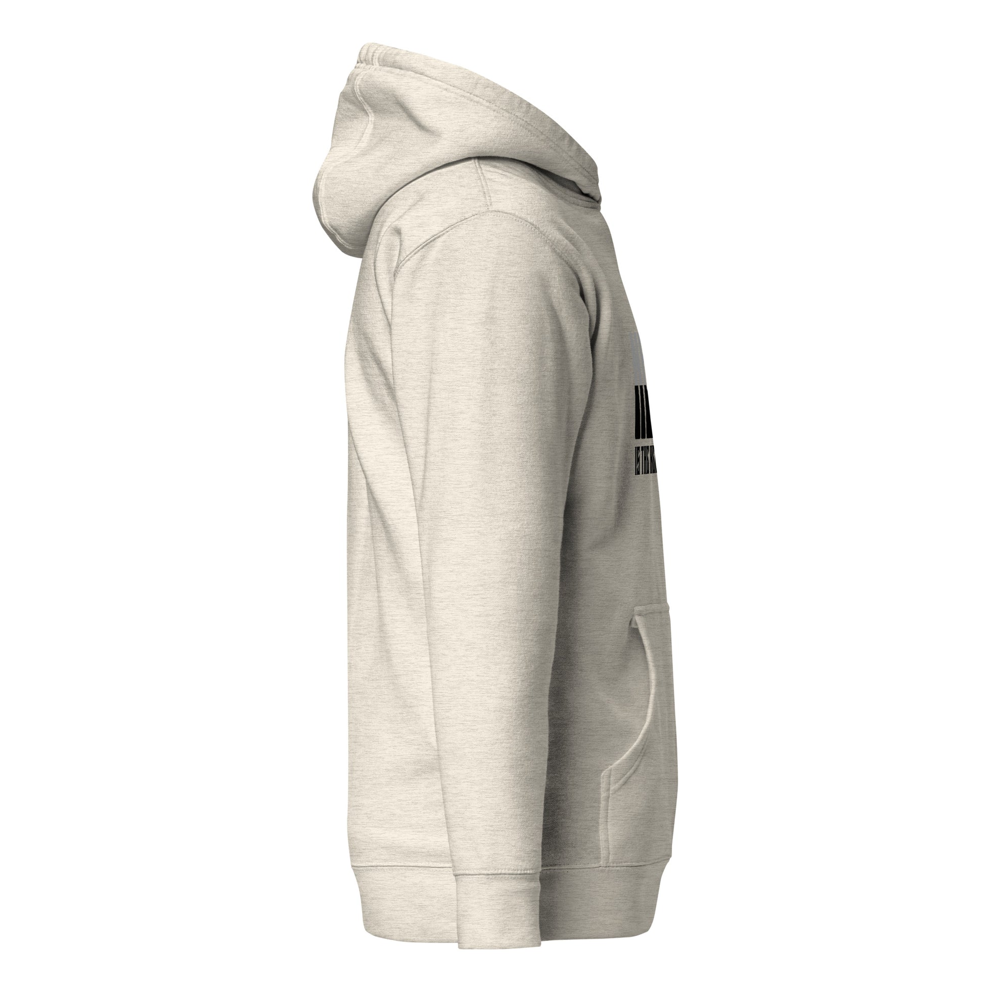 cotton-heritage-m2580-i-unisex-premium-pullover-hoodie-oatmeal-heather-right-69b6ba5251668 - Dreamy Phoenix