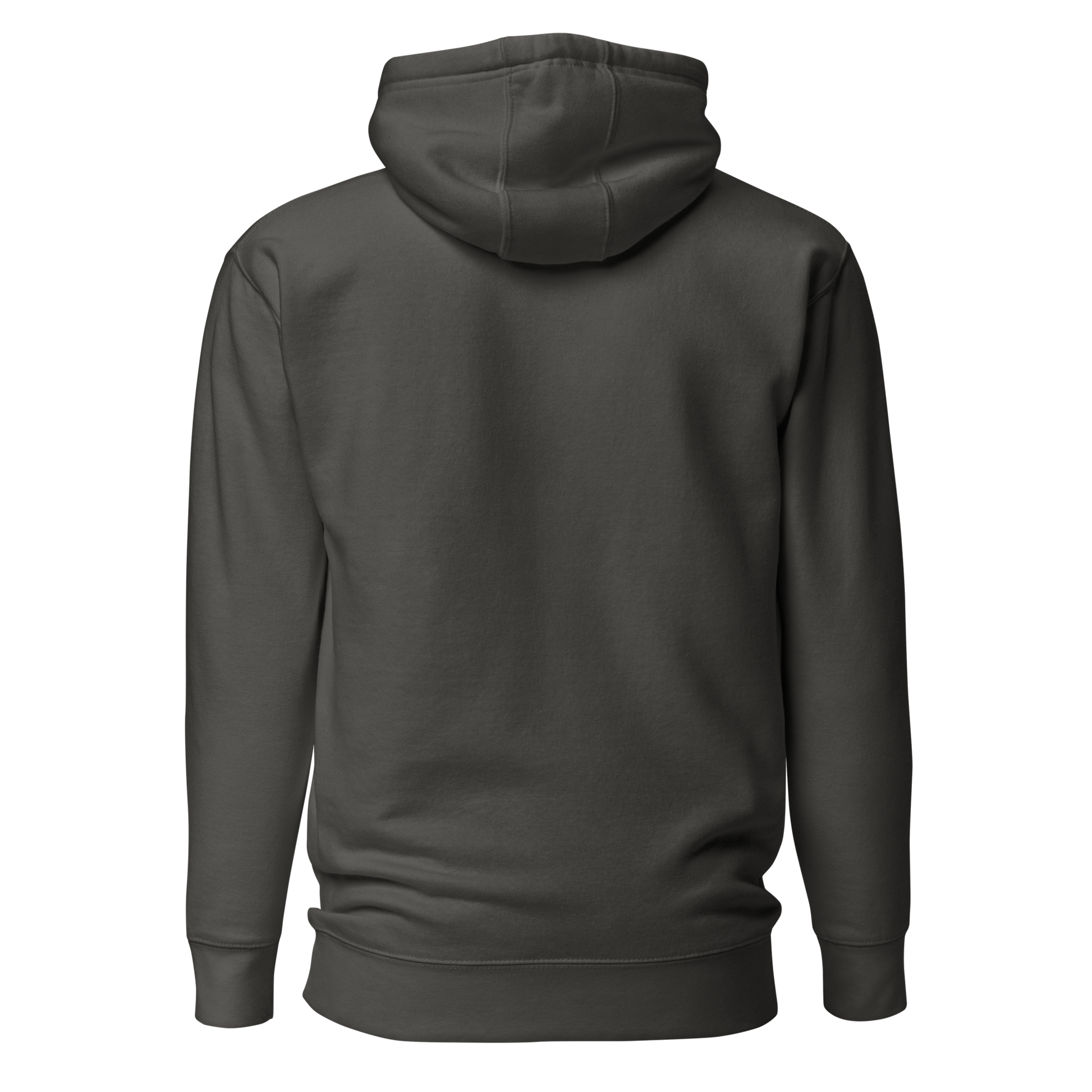 cotton-heritage-m2580-i-unisex-premium-pullover-hoodie-vintage-black-back-69b6eaa737aec - Dreamy Phoenix