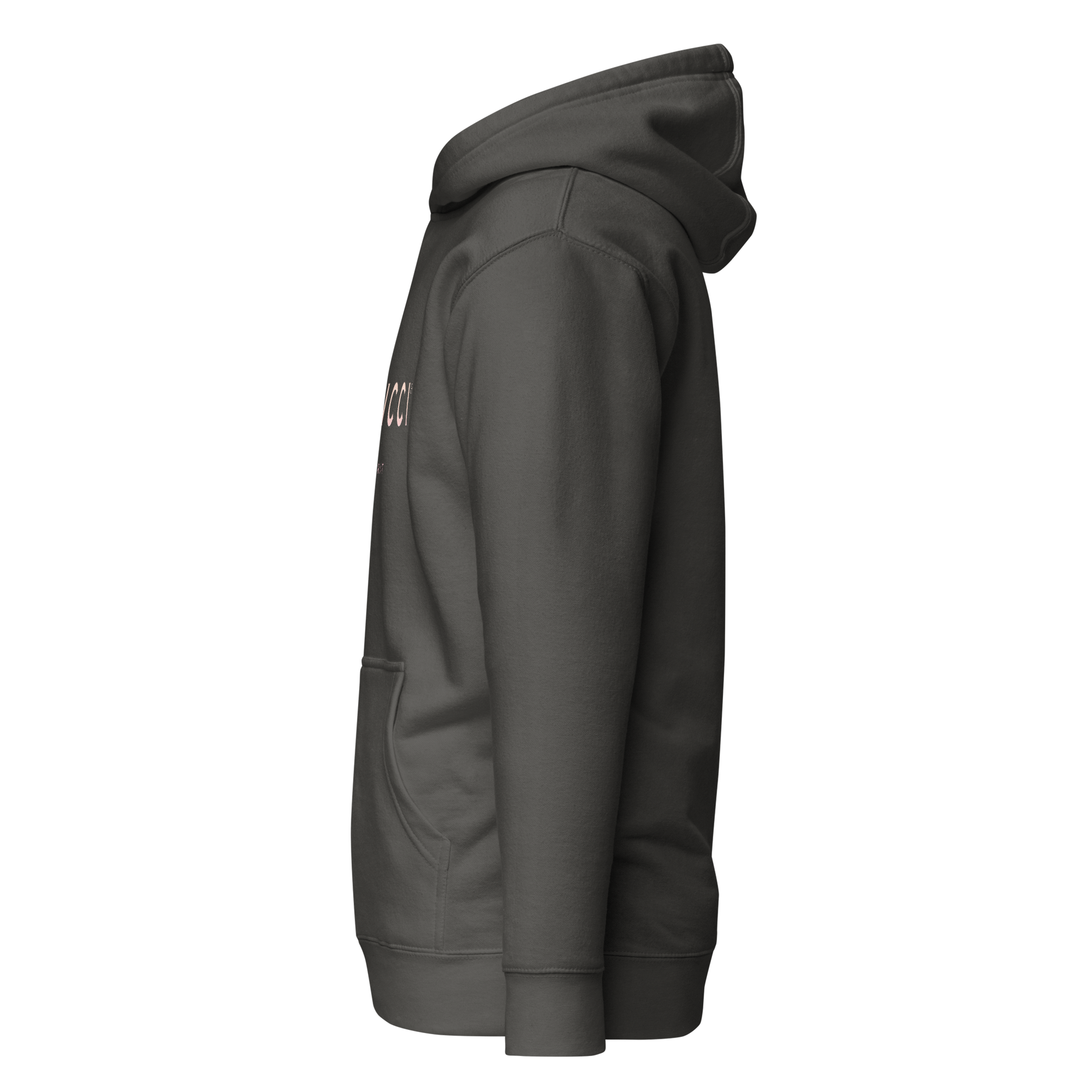 cotton-heritage-m2580-i-unisex-premium-pullover-hoodie-vintage-black-left-69b6eaa7391b3 - Dreamy Phoenix