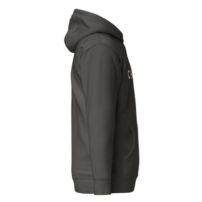 cotton-heritage-m2580-i-unisex-premium-pullover-hoodie-vintage-black-right-69b6eaa73a542 - Dreamy Phoenix