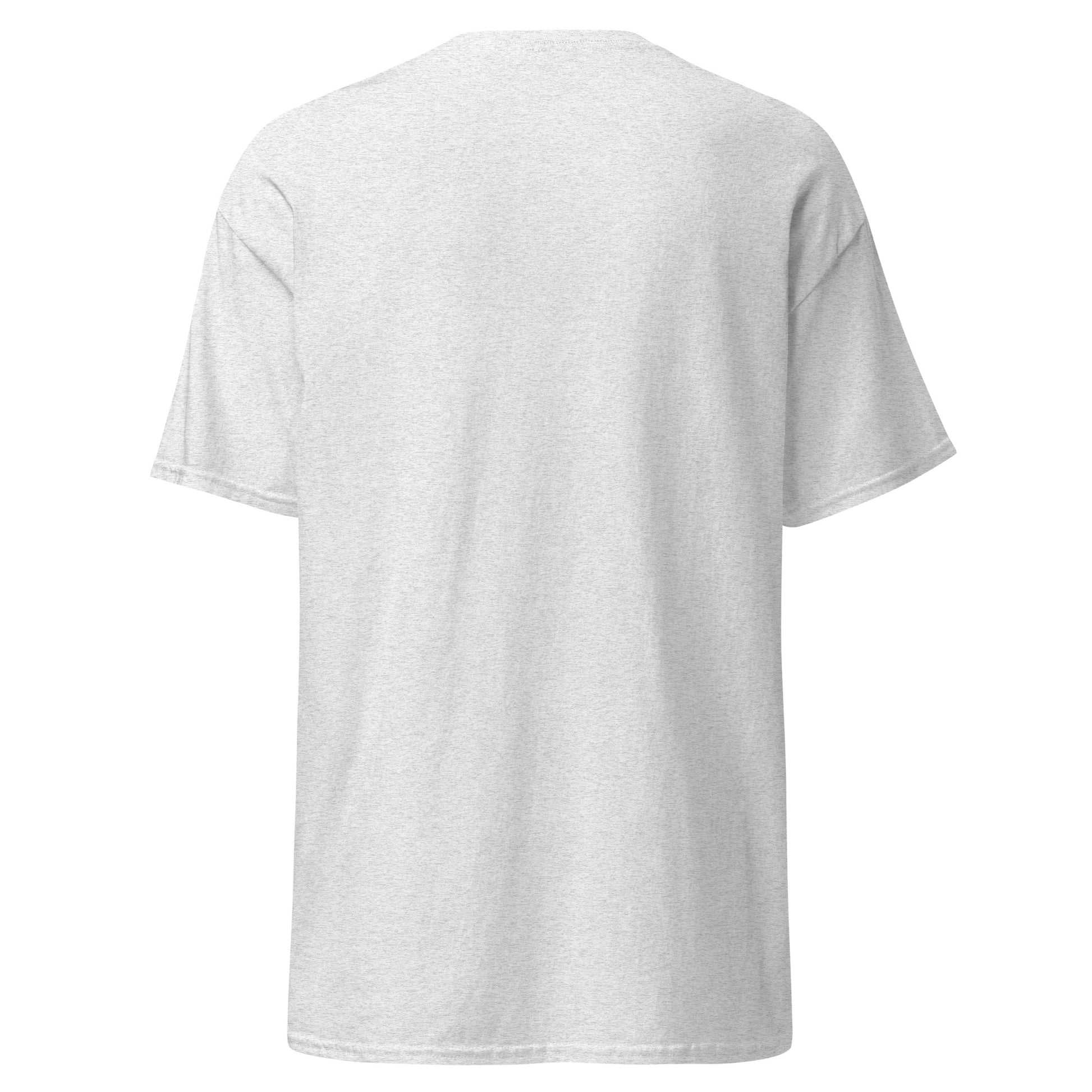 unisex-classic-tee-ash-back-69dd5e0d0714f - Dreamy Phoenix