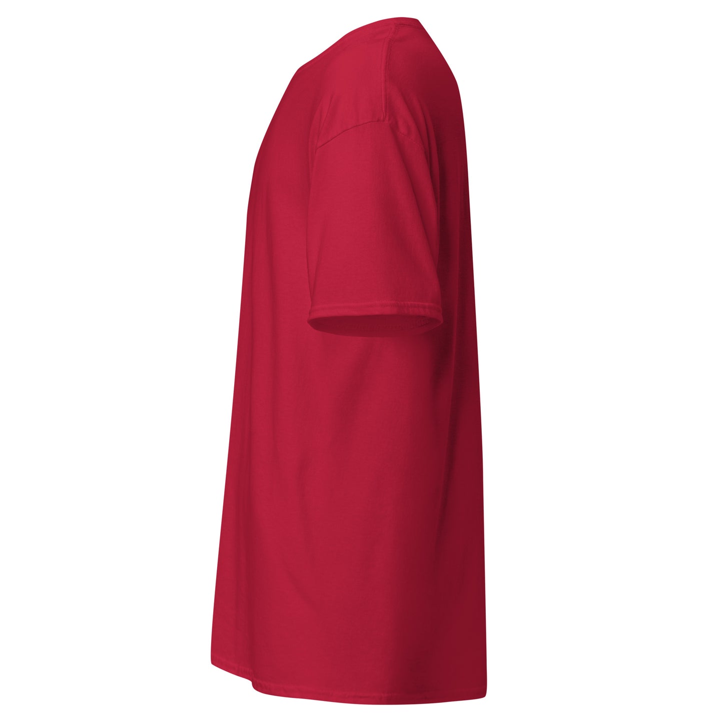 unisex-classic-tee-cardinal-left-69d63f052afdd - Dreamy Phoenix