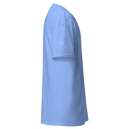 unisex-classic-tee-carolina-blue-right-69d63f052a14f - Dreamy Phoenix