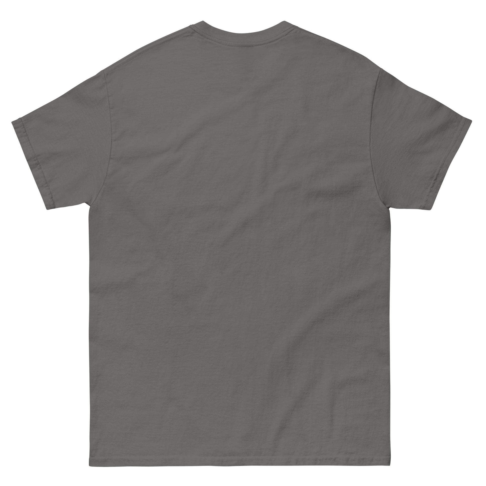 unisex-classic-tee-charcoal-back-69b88c15e5c51 - Dreamy Phoenix