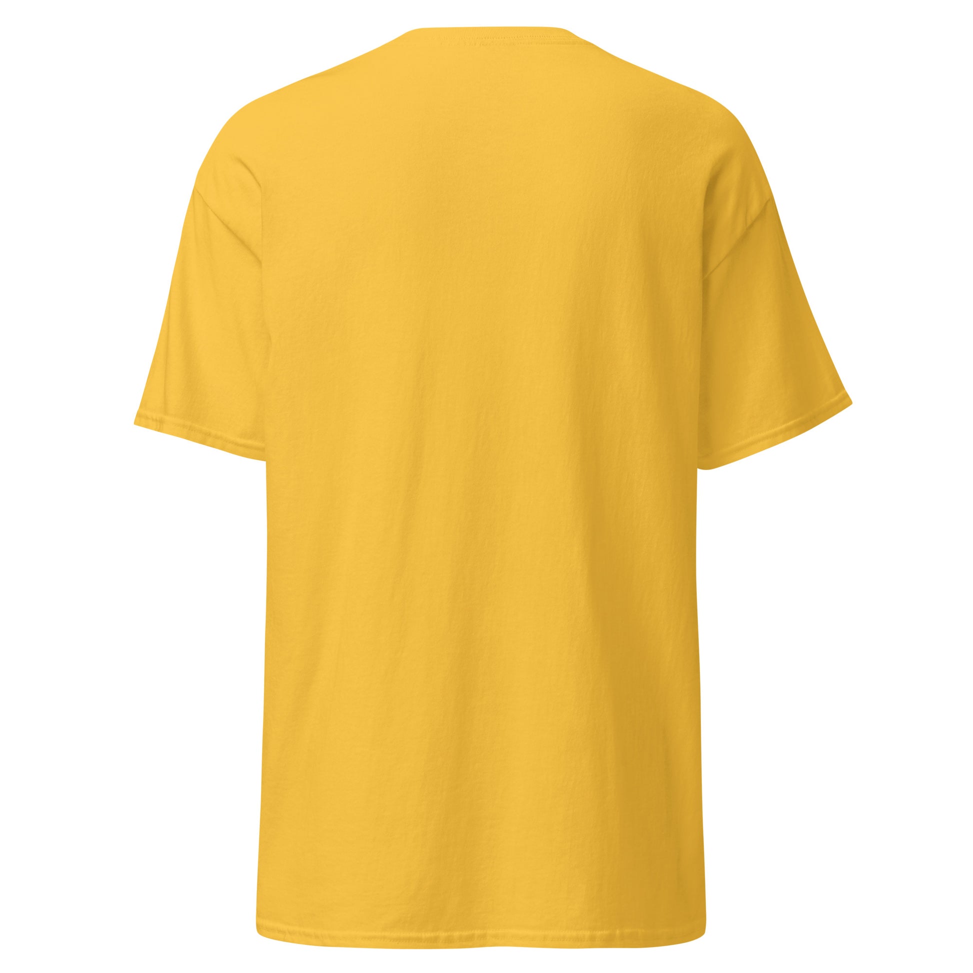 unisex-classic-tee-daisy-back-69dd5e0d0751b - Dreamy Phoenix