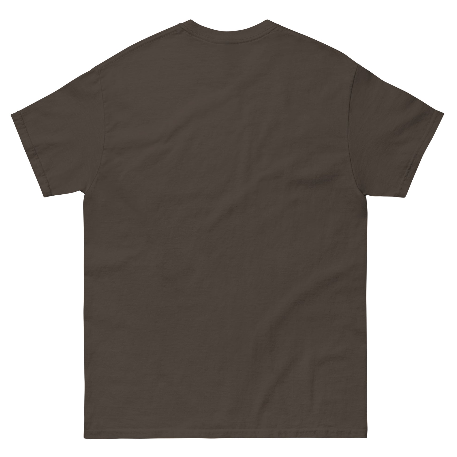 unisex-classic-tee-dark-chocolate-back-69b88c15dd448 - Dreamy Phoenix