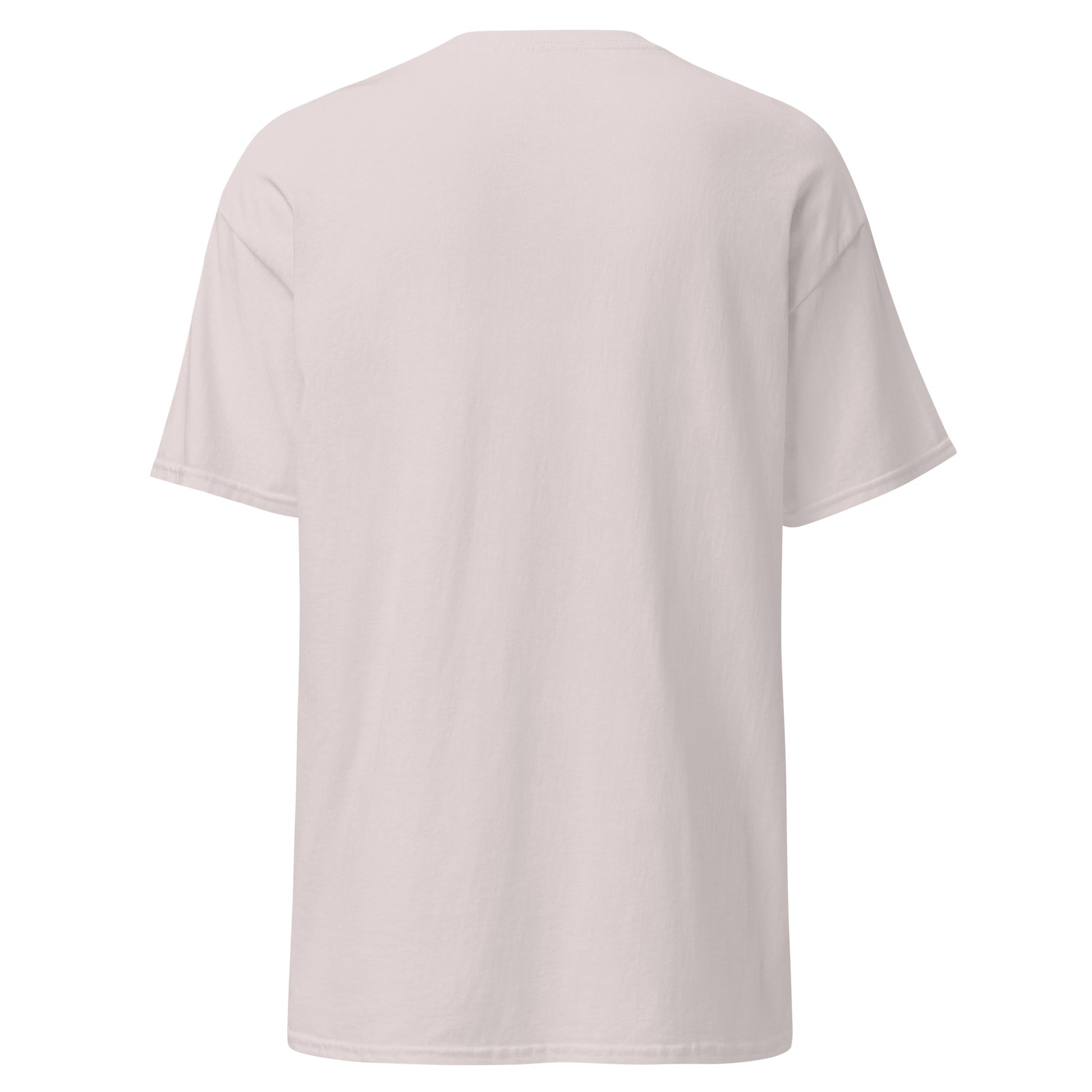 unisex-classic-tee-ice-grey-back-6a1757fa4a177 - Dreamy Phoenix