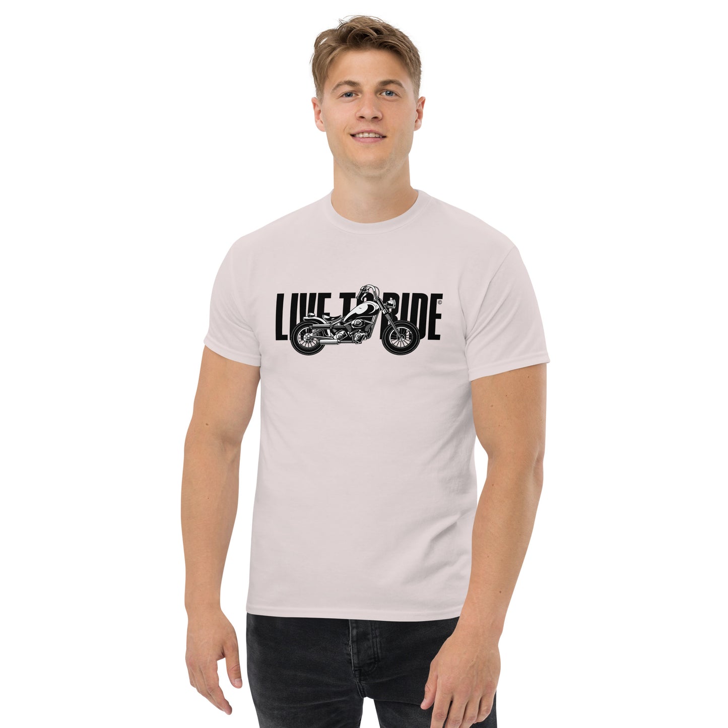 unisex-classic-tee-ice-grey-front-69b88a285c0c3 - Dreamy Phoenix
