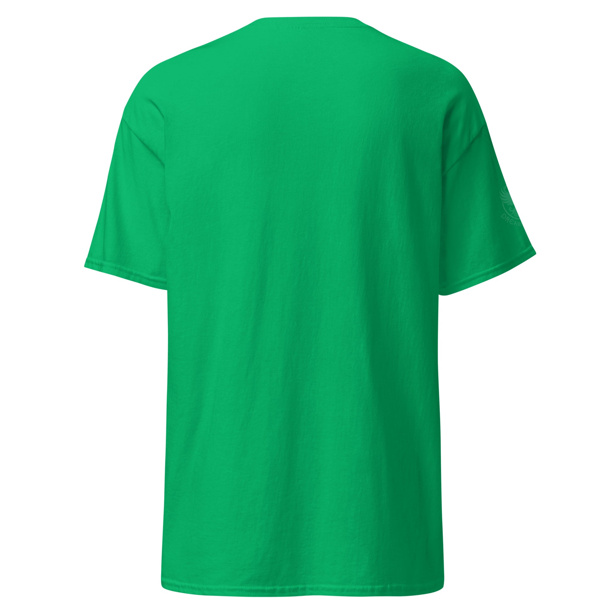 unisex-classic-tee-irish-green-back-69d6ccdc35d75 - Dreamy Phoenix