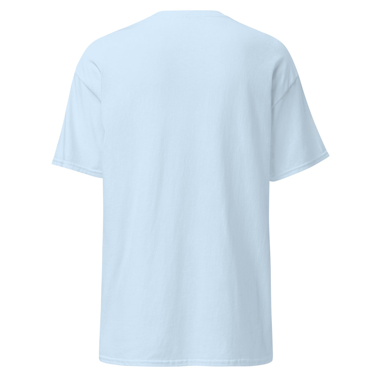 unisex-classic-tee-light-blue-back-69d6ccdcae76d - Dreamy Phoenix