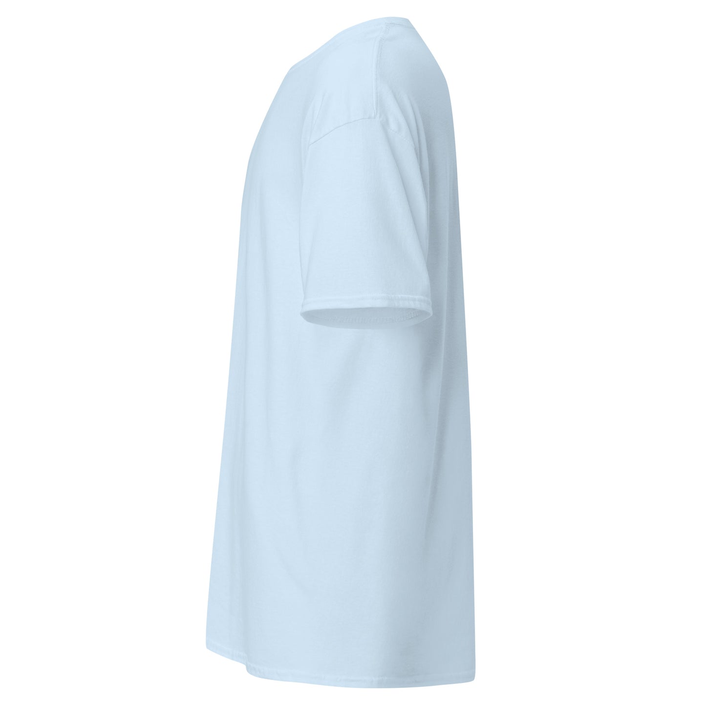 unisex-classic-tee-light-blue-left-69d63f052b2ec - Dreamy Phoenix