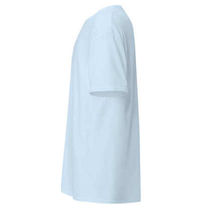 unisex-classic-tee-light-blue-left-69d63f052b2ec - Dreamy Phoenix