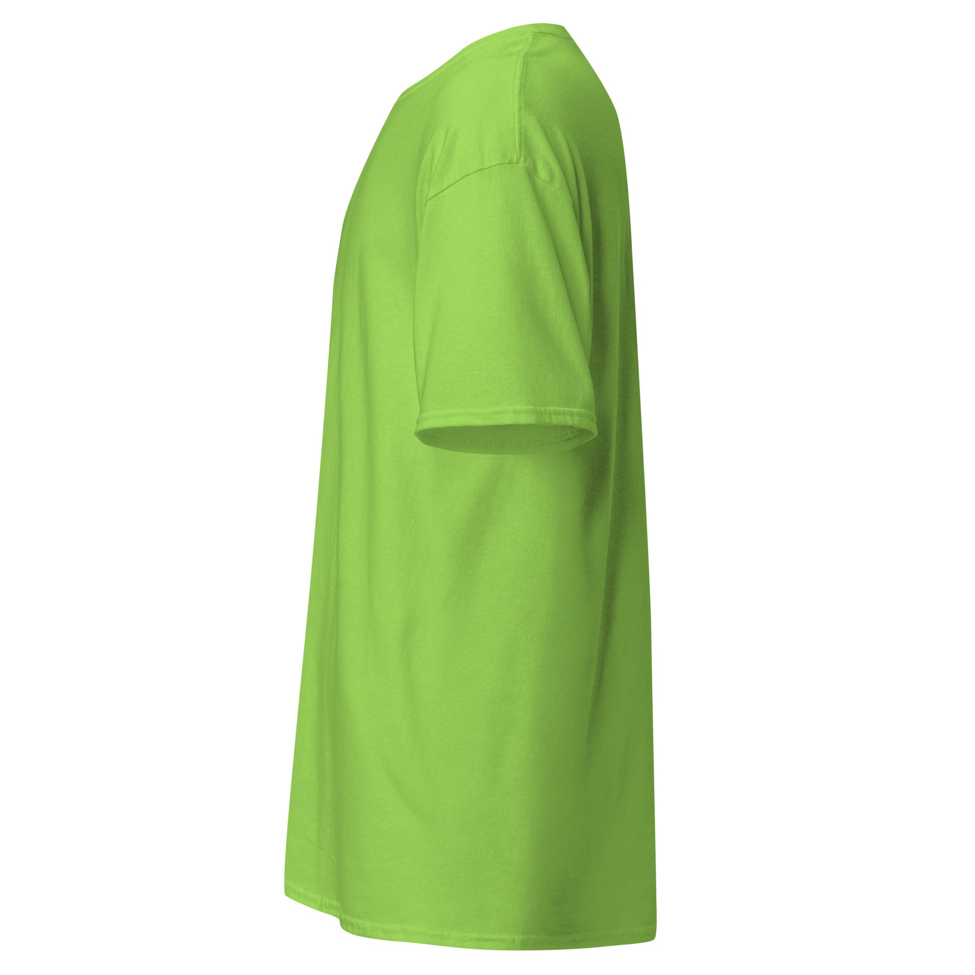 unisex-classic-tee-lime-left-69d63f052b426 - Dreamy Phoenix