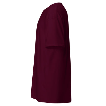 unisex-classic-tee-maroon-left-69d63f052b4be - Dreamy Phoenix