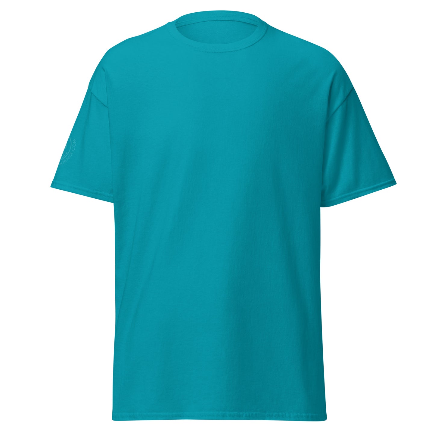 unisex-classic-tee-tropical-blue-front-69d63f052cc91 - Dreamy Phoenix