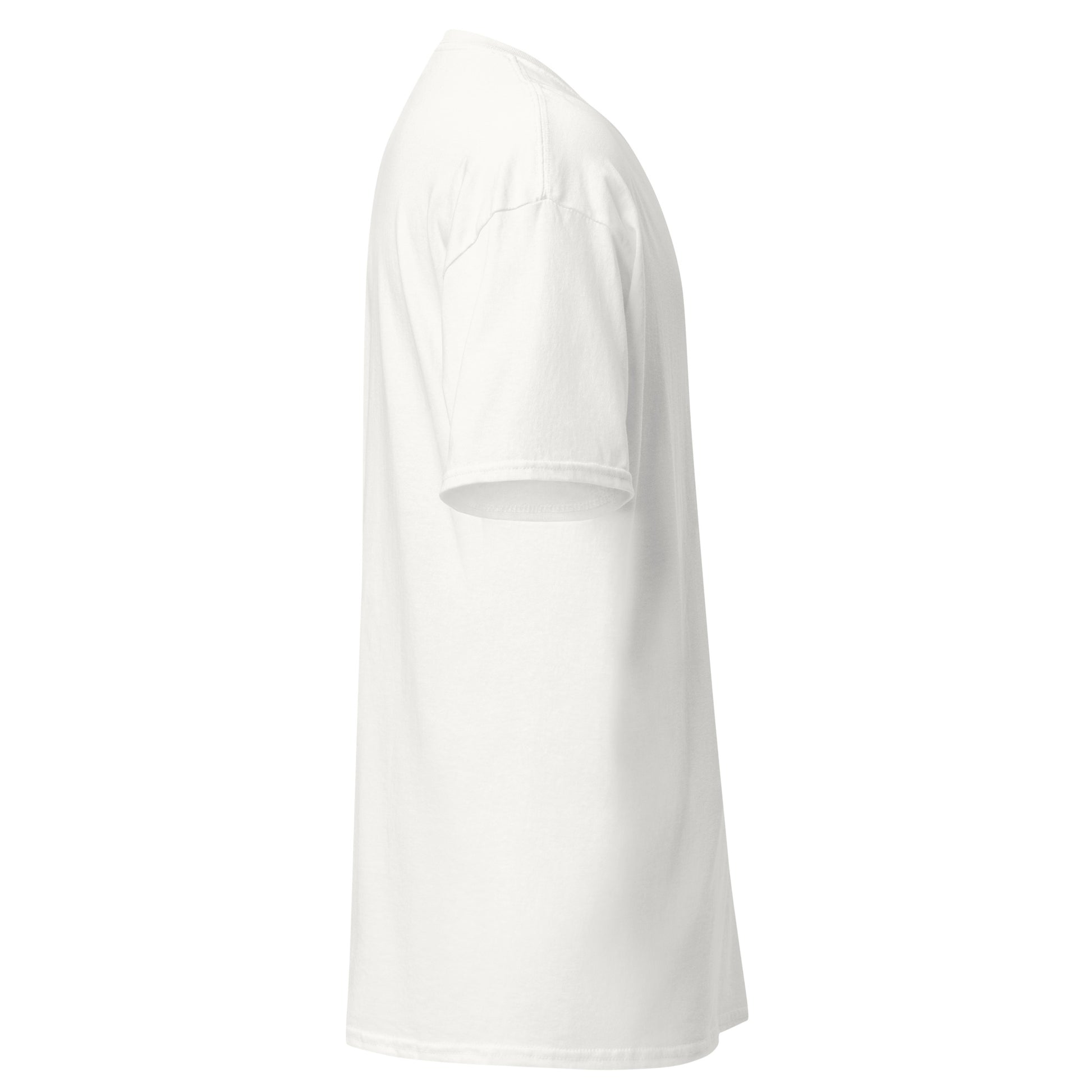 unisex-classic-tee-white-right-69d6ccdcc2ebc - Dreamy Phoenix