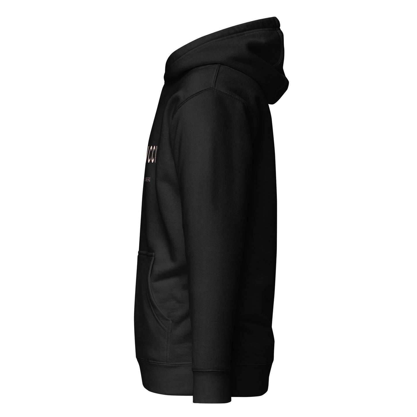 unisex-premium-pullover-hoodie-black-left-69f50e127fd64 - Dreamy Phoenix