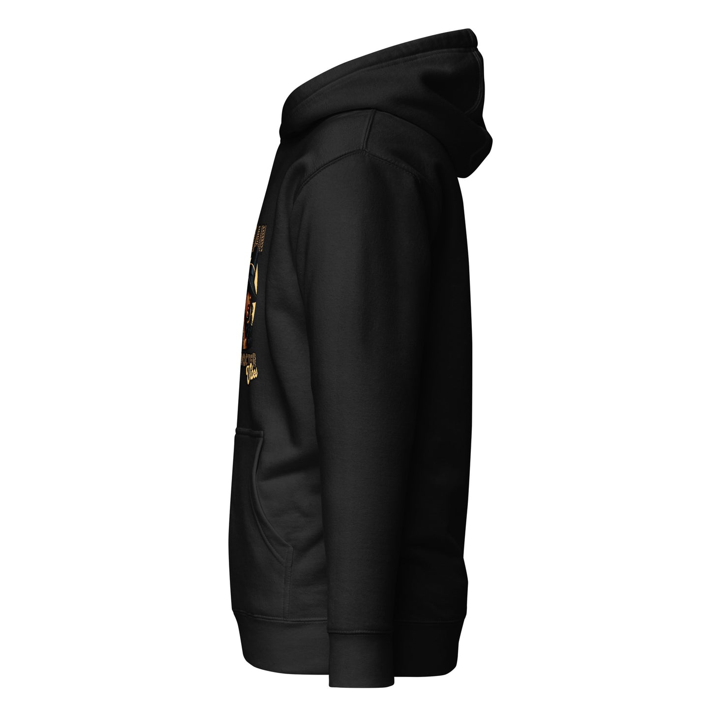 unisex-premium-pullover-hoodie-black-left-6a1610cfc53b1 - Dreamy Phoenix