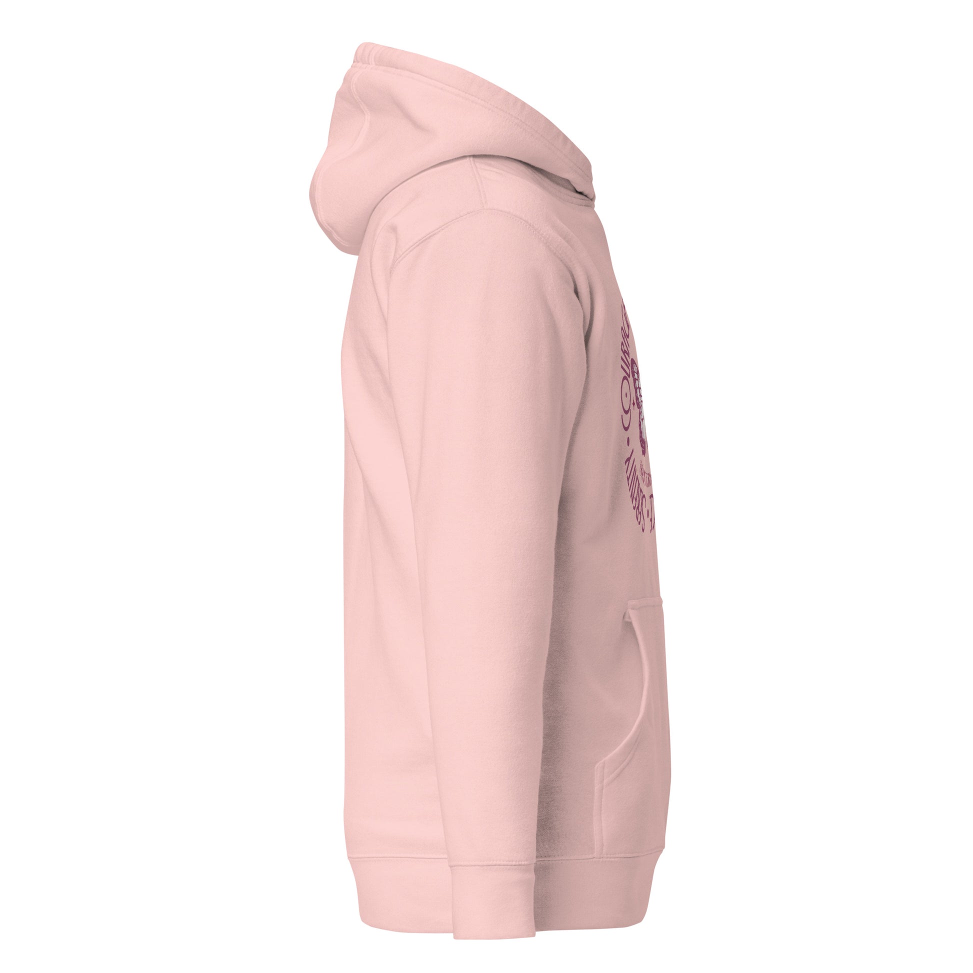 unisex-premium-pullover-hoodie-light-pink-right-6a16097ca7326 - Dreamy Phoenix