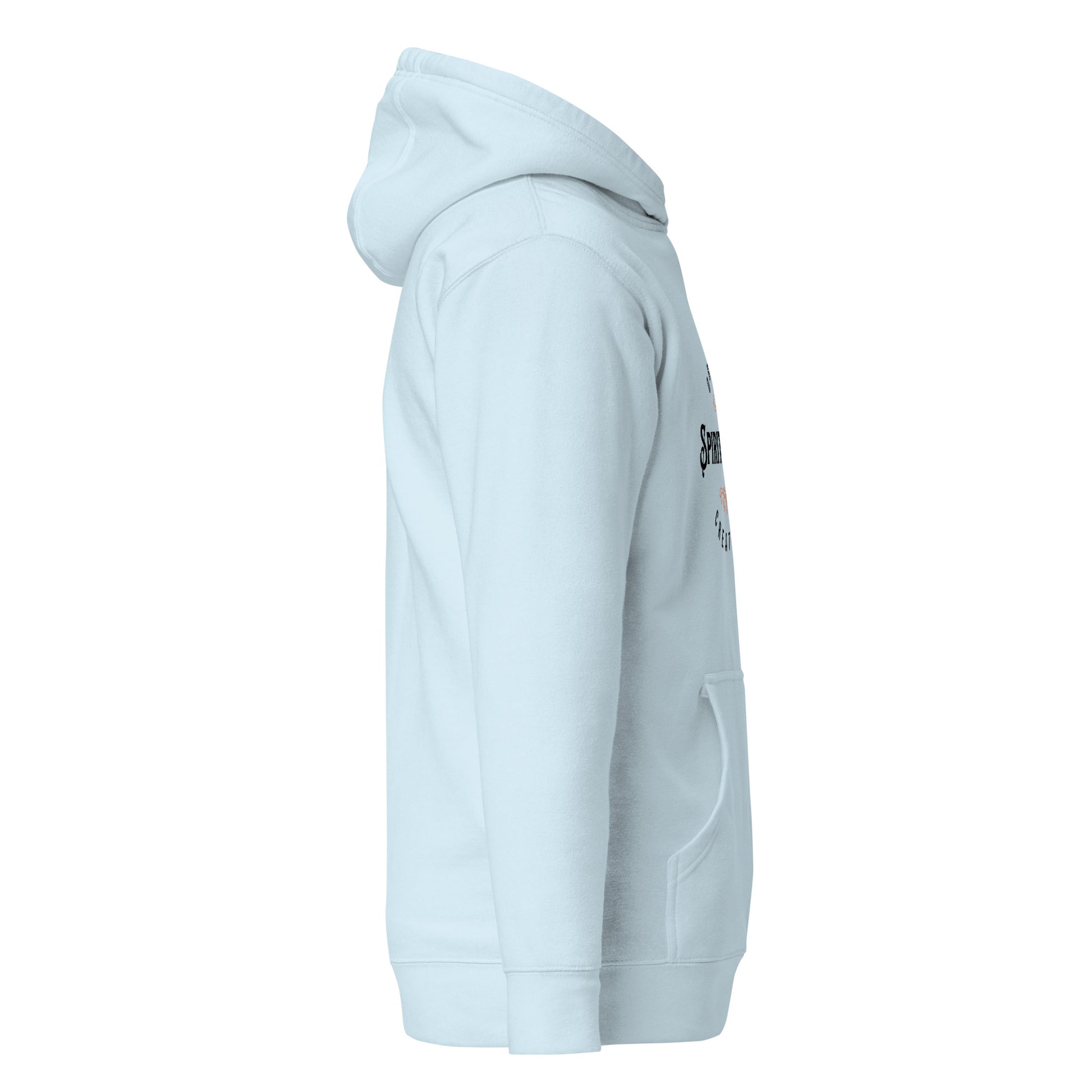 unisex-premium-pullover-hoodie-sky-blue-right-6a175663be51a - Dreamy Phoenix