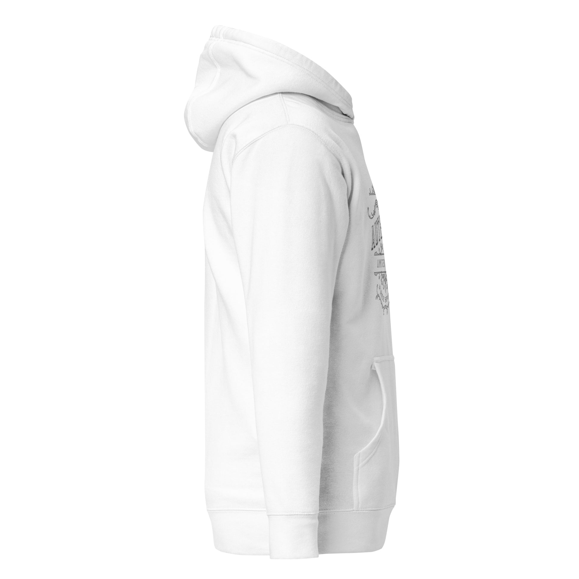 unisex-premium-pullover-hoodie-white-right-6a160b3e221ce - Dreamy Phoenix
